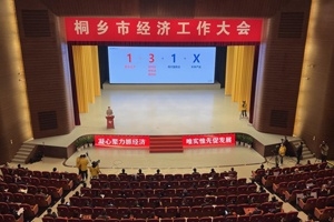 【菊鄉(xiāng)快評】經(jīng)濟工作大會上，桐鄉(xiāng)市委書記為何重點講巨石的電子布？