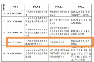 嘉興首金！巨石集團(tuán)摘得中國專利獎金獎