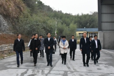 中國建材集團(tuán)黨委書記、董事長周育先調(diào)研巨石九江鈣業(yè)公司