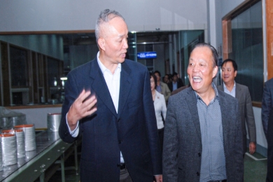 2010年11月，時任浙江省委常委、組織部長蔡奇到中國巨石視察。他對企業(yè)立足浙江、走向世界的做法給予肯定和鼓勵，希望企業(yè)積極開展?fàn)幃?dāng)“發(fā)展強、黨建強”先進企業(yè)活動，為企業(yè)科學(xué)發(fā)展注入動力，以黨內(nèi)創(chuàng)先帶動企業(yè)創(chuàng)先，讓企業(yè)創(chuàng)先爭優(yōu)形成長效機制。